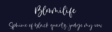 Bloomilife by Timur Type — Script Handwritten Font — thumbnail 2