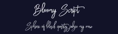 Bloomy Script by FHFont — Script Handwritten Font — thumbnail 2