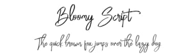 Bloomy Script by FHFont — Script Handwritten Font — thumbnail 1