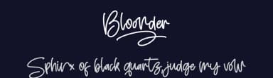 Bloonder by Integritype Studio — Script Handwritten Font — thumbnail 2