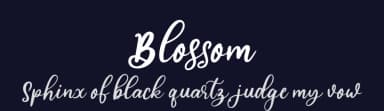 Blossom by Fanastudio — Script Handwritten Font — thumbnail 2