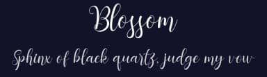 Blossom by Nico Muslib — Script Handwritten Font — thumbnail 2