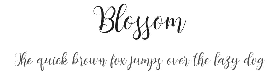 Blossom by Nico Muslib — Script Handwritten Font — preview 1