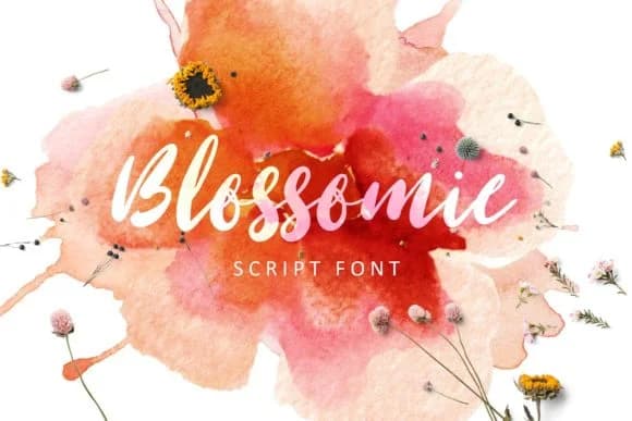 Blossomie Font by Creativeqube Design — Script Handwritten Font
