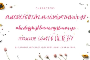 Blossomie Font by Creativeqube Design — Script Handwritten Font — thumbnail 2