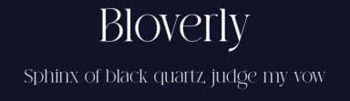 Bloverly by ToniStudio — Serif Font — thumbnail 2