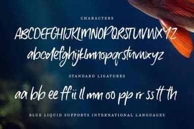 Blue Liquid Font by Creativeqube Design — Script Handwritten Font — thumbnail 8