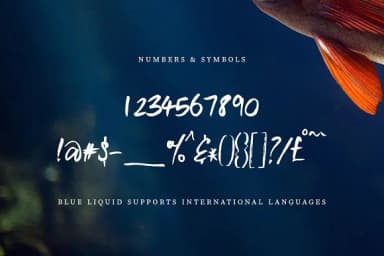 Blue Liquid Font by Creativeqube Design — Script Handwritten Font — thumbnail 9