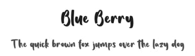 Blue Berry by Viola Type — Script Handwritten Font — thumbnail 1