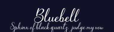 Bluebell by Sronstudio — Script Handwritten Font — thumbnail 2