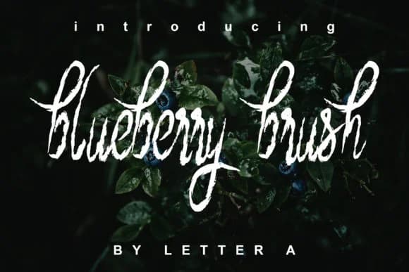 Blueberry Brush Font by Letter A — Script Handwritten Font