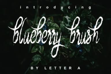 Blueberry Brush Font by Letter A — Script Handwritten Font — thumbnail 1