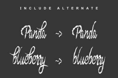 Blueberry Brush Font by Letter A — Script Handwritten Font — thumbnail 5