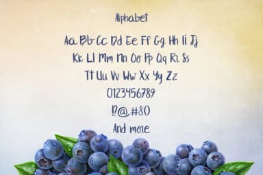 Blueberry Font by Jokiranta — Script Handwritten Font — thumbnail 2