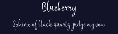 Blueberry by Bonjour Type — Script Handwritten Font — thumbnail 2