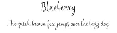 Blueberry by Bonjour Type — Script Handwritten Font — thumbnail 1
