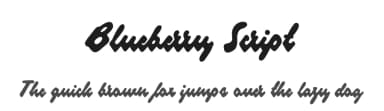 Blueberry Script by Måns Grebäck — Script Handwritten Font — thumbnail 1