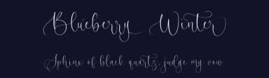 Blueberry Winter by Letterative Studio — Script Handwritten Font — thumbnail 2