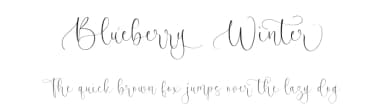 Blueberry Winter by Letterative Studio — Script Handwritten Font — thumbnail 1