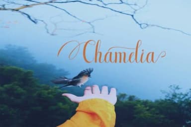 Bluebird Font by parawtype — Script Handwritten Font — thumbnail 2