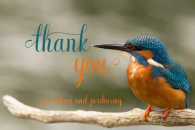 Bluebird Font by parawtype — Script Handwritten Font — thumbnail 5