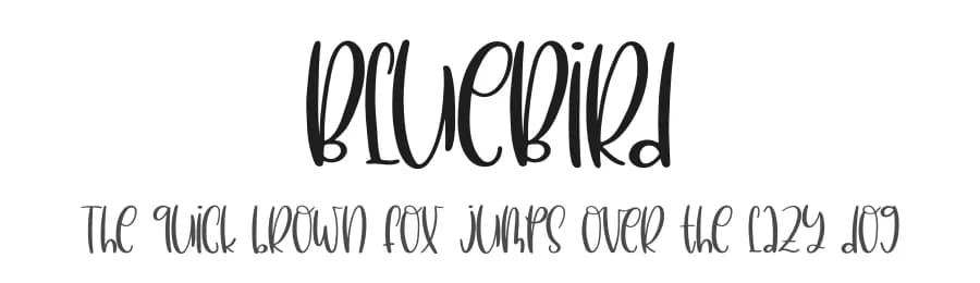 BlueBird by Perspectype Studio - Letterena.com — Script Handwritten Font