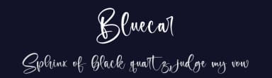 Bluecar by Letterena Studios — Script Handwritten Font — thumbnail 2