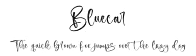 Bluecar by Letterena Studios — Script Handwritten Font — thumbnail 1