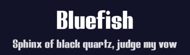 Bluefish by Studio Typo — Sans Serif Font — thumbnail 2