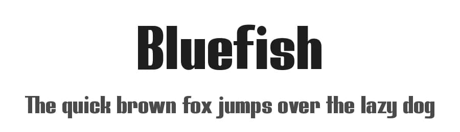 Bluefish by Studio Typo — Sans Serif Font
