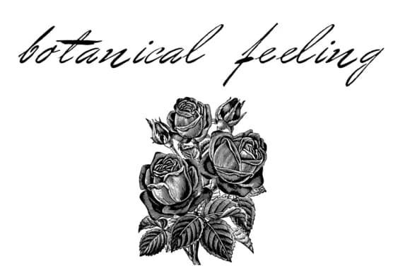 Bluelmin Benedict Font by Intellecta Design — Script Handwritten Font