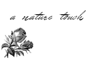 Bluelmin Benedict Font by Intellecta Design — Script Handwritten Font — thumbnail 2