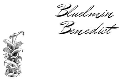 Bluelmin Benedict Font by Intellecta Design — Script Handwritten Font — thumbnail 3
