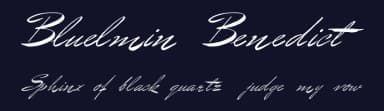 Bluelmin Benedict by Intellecta Design — Script Handwritten Font — thumbnail 2
