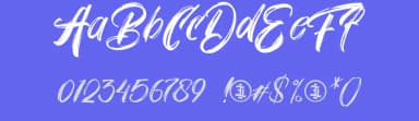 Bluezingham by ilhamtaro — Script Handwritten Font — thumbnail 3