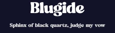 Blugide by Letterena Studios — Serif Font — thumbnail 2