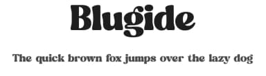 Blugide by Letterena Studios — Serif Font — thumbnail 1