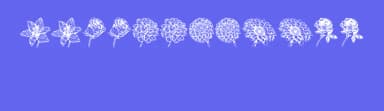 Blumen by Vladimir Nikolic — Dingbats Font — thumbnail 3