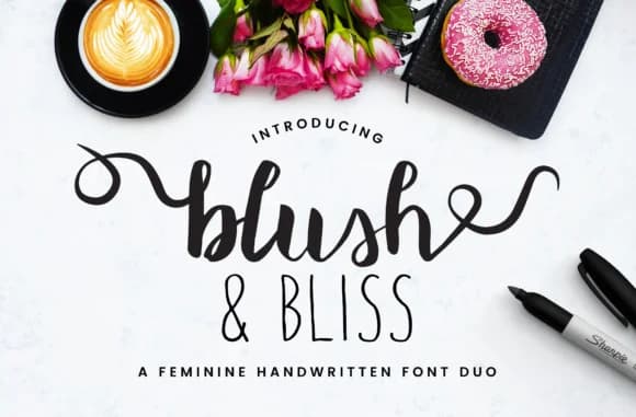 Blush & Bliss Font by Christine Teixeira — Script Handwritten Font