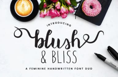 Blush & Bliss Font by Christine Teixeira — Script Handwritten Font — thumbnail 1