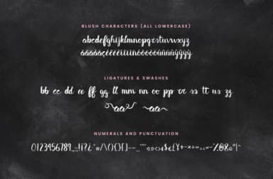 Blush & Bliss Font by Christine Teixeira — Script Handwritten Font — thumbnail 5