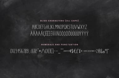 Blush & Bliss Font by Christine Teixeira — Script Handwritten Font — thumbnail 6