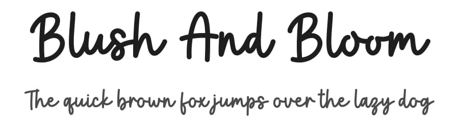 Blush And Bloom by Graphix Line Studio — Script Handwritten Font