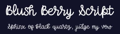 Blush Berry Script by Dez C — Script Handwritten Font — thumbnail 2