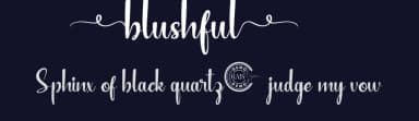 Blushful by RaisProject — Script Handwritten Font — thumbnail 2