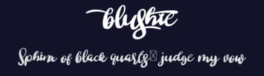 Blushie by Noah Type — Script Handwritten Font — thumbnail 2