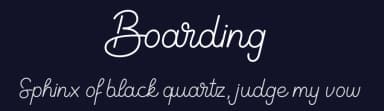 Boarding by Shaped Fonts — Script Handwritten Font — thumbnail 2