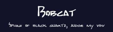 Bobcat by Andy Krahling — Script Handwritten Font — thumbnail 2