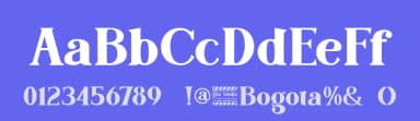 Bogota by Din Studio — Serif Font — thumbnail 3