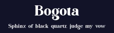Bogota by Din Studio — Serif Font — thumbnail 2